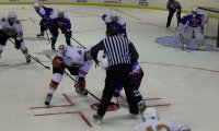 img_1781_ 